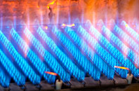 Bualintur gas fired boilers